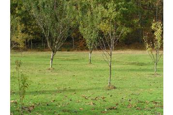 República Checa Chata Arnultovice, Exterior